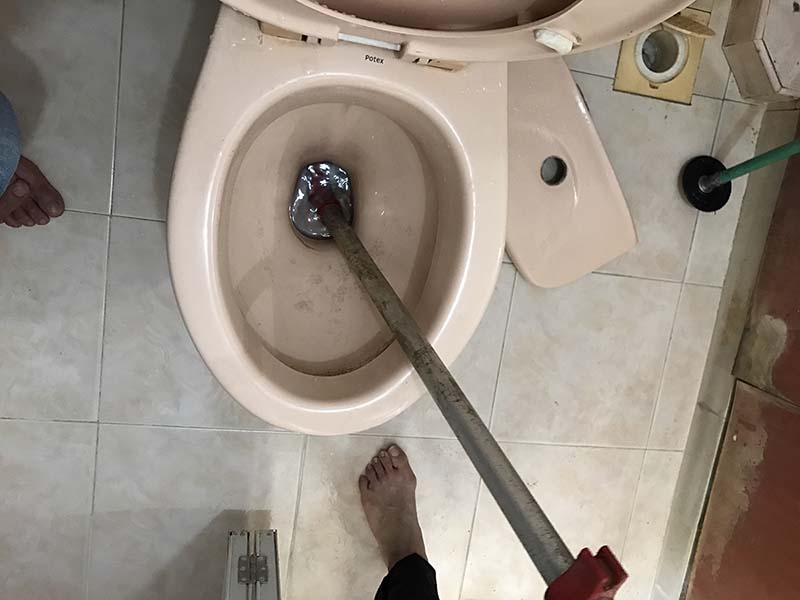 destape de wc